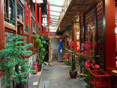 -阿西娅食府(中关村店)