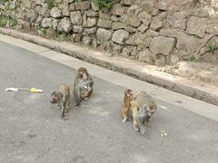 -黔灵山公园