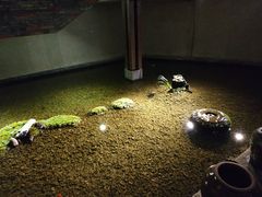 -几荷·恰似故人来(秀水广场店)