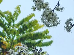 -石室禅院