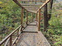 -大岭沟猕猴桃谷风景区