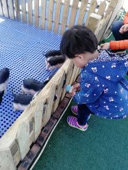 -萌宠亲子动物乐园(槐房万达店)