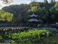 -忠山公园