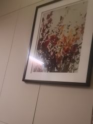 -娇莉芙美颜SPA连锁