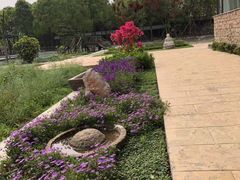 -洪湖家庭农场·团建·露营·会议