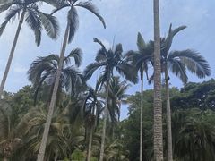 -中国科学院西双版纳热带植物园