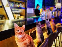 环境-Famous肥猫墨西哥音乐餐吧(五棵松华熙LIVE店)