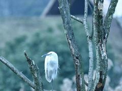 -西湖风景区-江洋畈生态公园