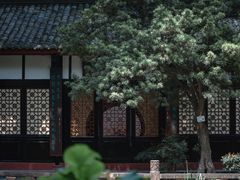 -望江楼公园
