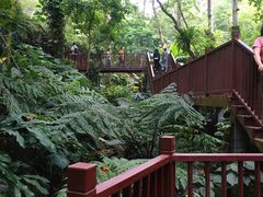 -梧桐山风景名胜区