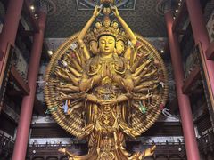 -上海东林寺(金山区)