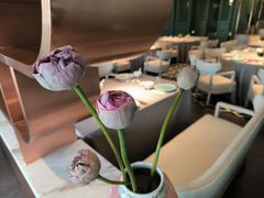 -南堂馆·新川菜(春熙路店)