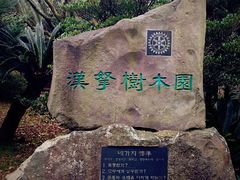 -汉拿树木园
