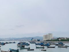 -海源公园