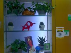-新镜界眼镜(乐坊大华生活广场店)