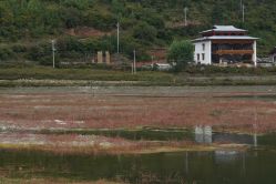 -纳帕海依拉草原