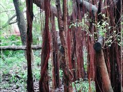 -台山颐和温泉城