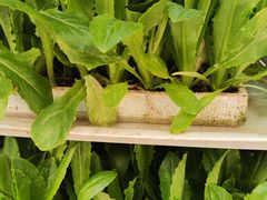 -阳光山水江湖菜馆(西山龙门店)