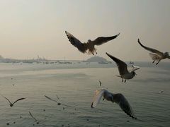 -老味道民宿(栈桥店)