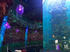 -青岛嘉年华主题乐园