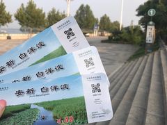-白洋淀景区