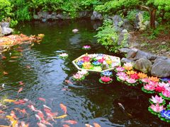 -上海万佛讲寺-停车场