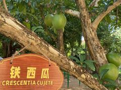 -三亚海棠湾万丽度假酒店