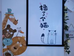-70cat德文卷毛猫·缅因猫纯种猫舍