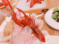 -旺小胖小龙虾