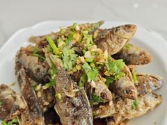 -巩本明鱼屋子