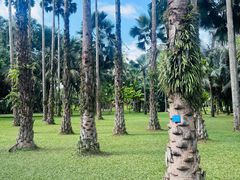 -中国科学院西双版纳热带植物园