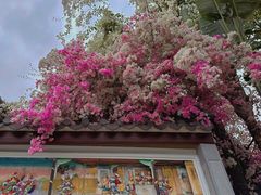 -深圳国际园林花卉博览园