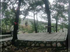 -沂蒙山旅游区云蒙景区(蒙山国家森林公园)