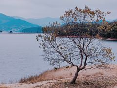 -翠屏湖景区