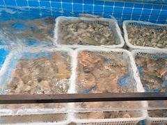 -锅老头铁锅炖•大锅蒸汽海鲜(韩乐坊店)