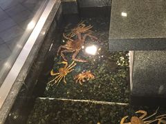 -蟹料理 北海道かに将軍(札幌本店)