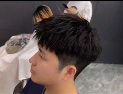 -藤野造型