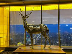 -北京柏悦酒店·锦庭餐厅Dining Room