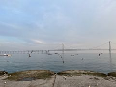 -星海广场