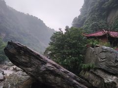 -庐山碧龙潭风景区