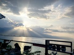 -野菌皇海景野生菌火锅(滨海大道店)