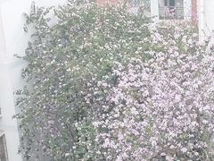 -雀儿山公园