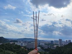 -顺峰山公园