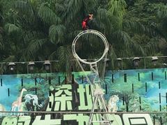 -深圳野生动物园