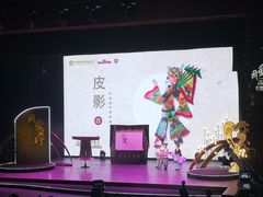 -中国宋庆龄青少年科技文化交流中心