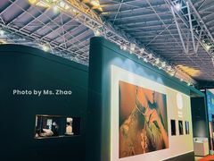 -东浩兰生上海世博展览馆