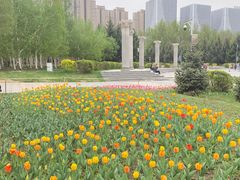 -长春公园(普阳街道)