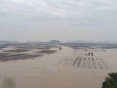 -北岐滩涂
