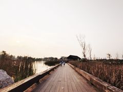 -白鹭湾湿地公园