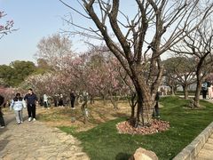 -无锡梅园公园